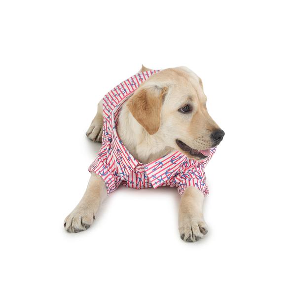 stylish dog wearing red printed shirt designed by Barks & Wags
