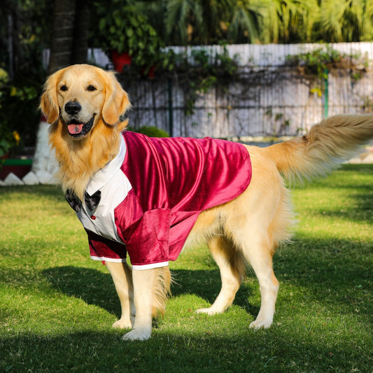 Tuxedos For Dogs - Maroon Velvet