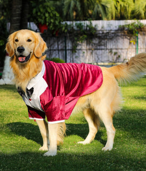 Tuxedos For Dogs - Maroon Velvet