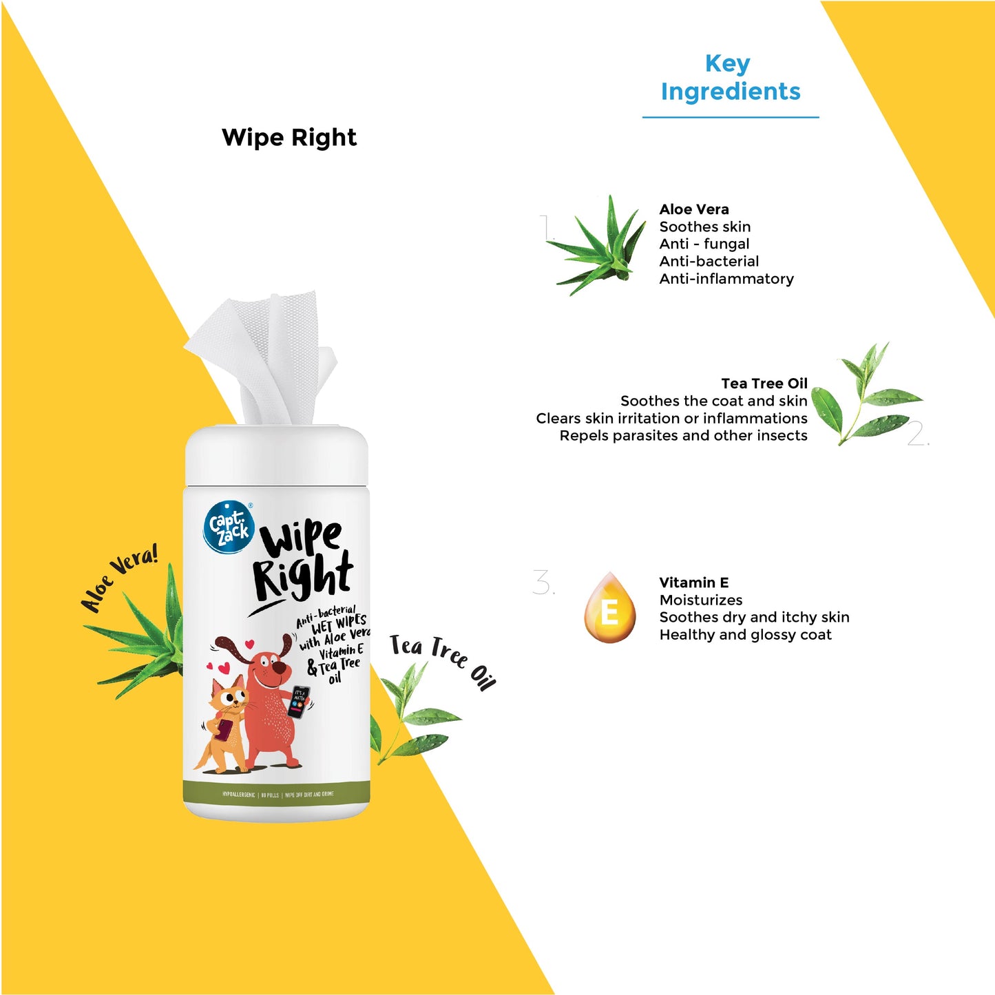 Wipe Right Anti-Bacterial Wet Wipes Pack of 2