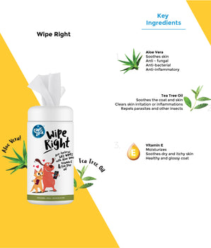 Wipe Right Anti-Bacterial Wet Wipes Pack of 2