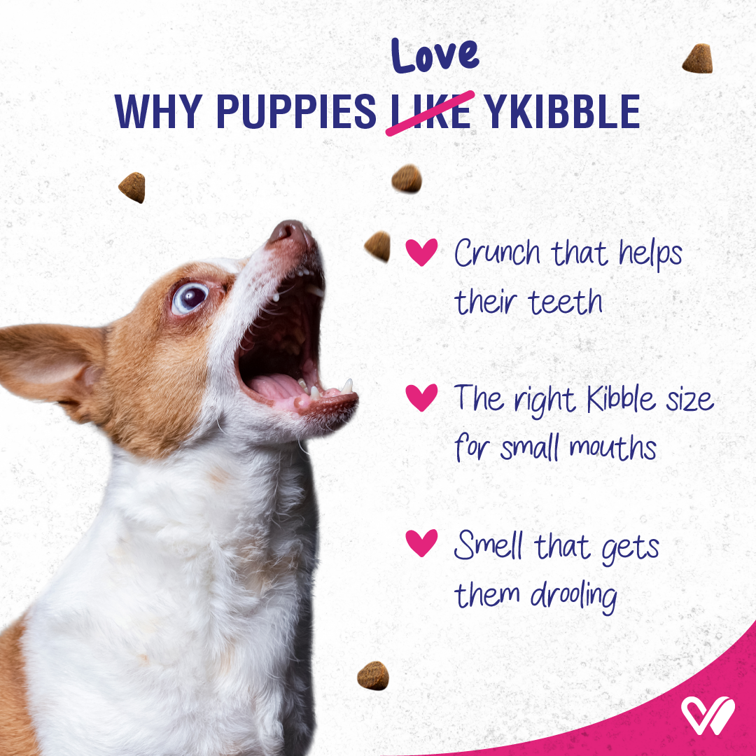 Ykibble Dry Puppy Food Small Dogs, 1-12 Months - Oven Baked Nutrionally Balanced - Chicken & Vegetables