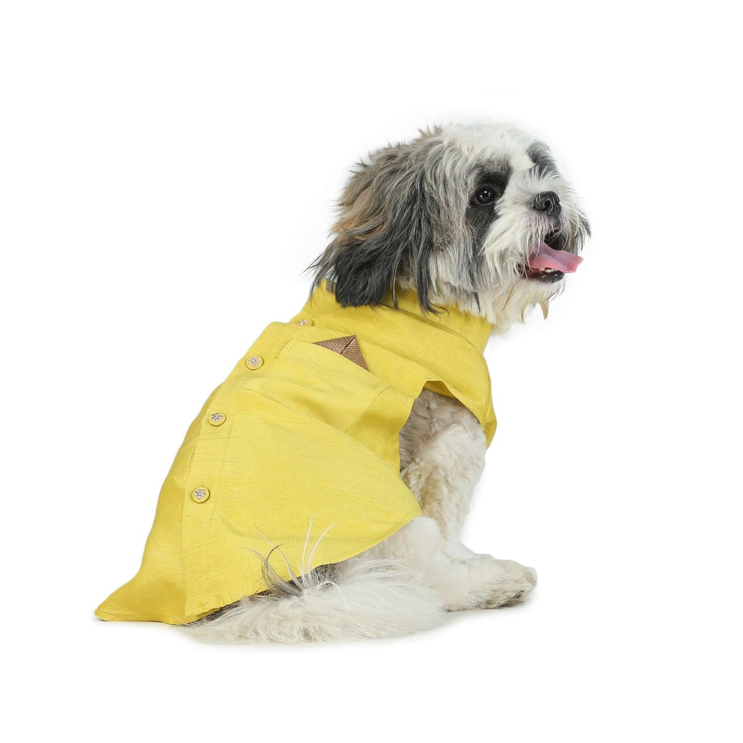 Lime Green Dog Sherwani