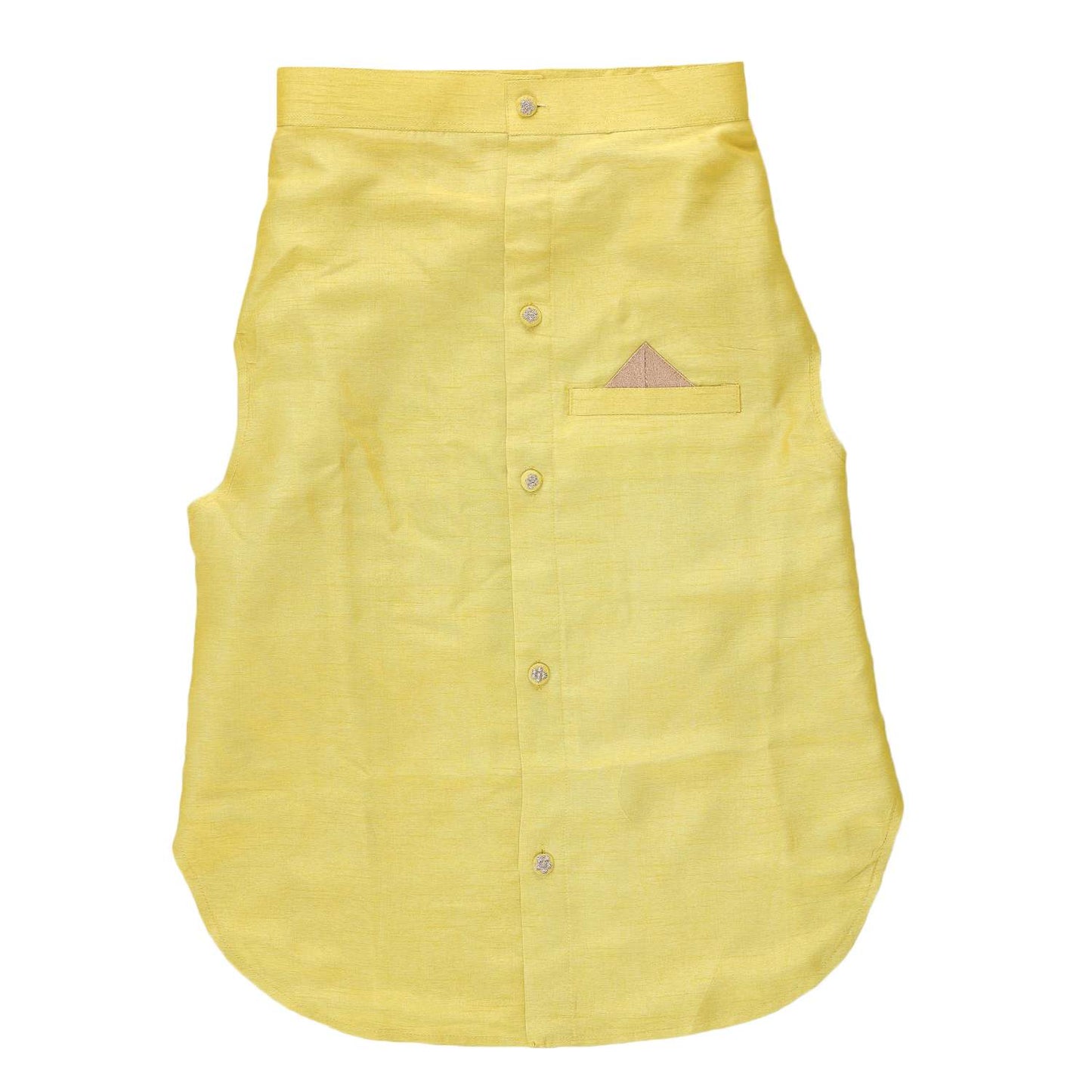 Lime Green Dog Sherwani