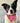 Adopt Me Bandana