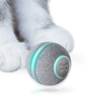 Cheerble Ball for Cats Grey