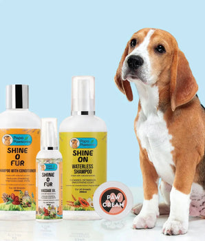 Beagle Complete Grooming kit - Papa Pawsome