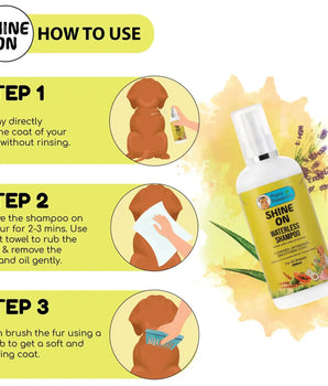 Beagle Complete Grooming kit - Papa Pawsome