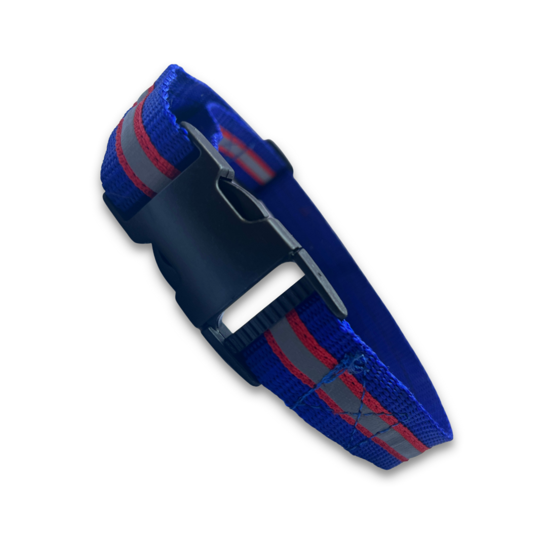 Blue Reflective Collar