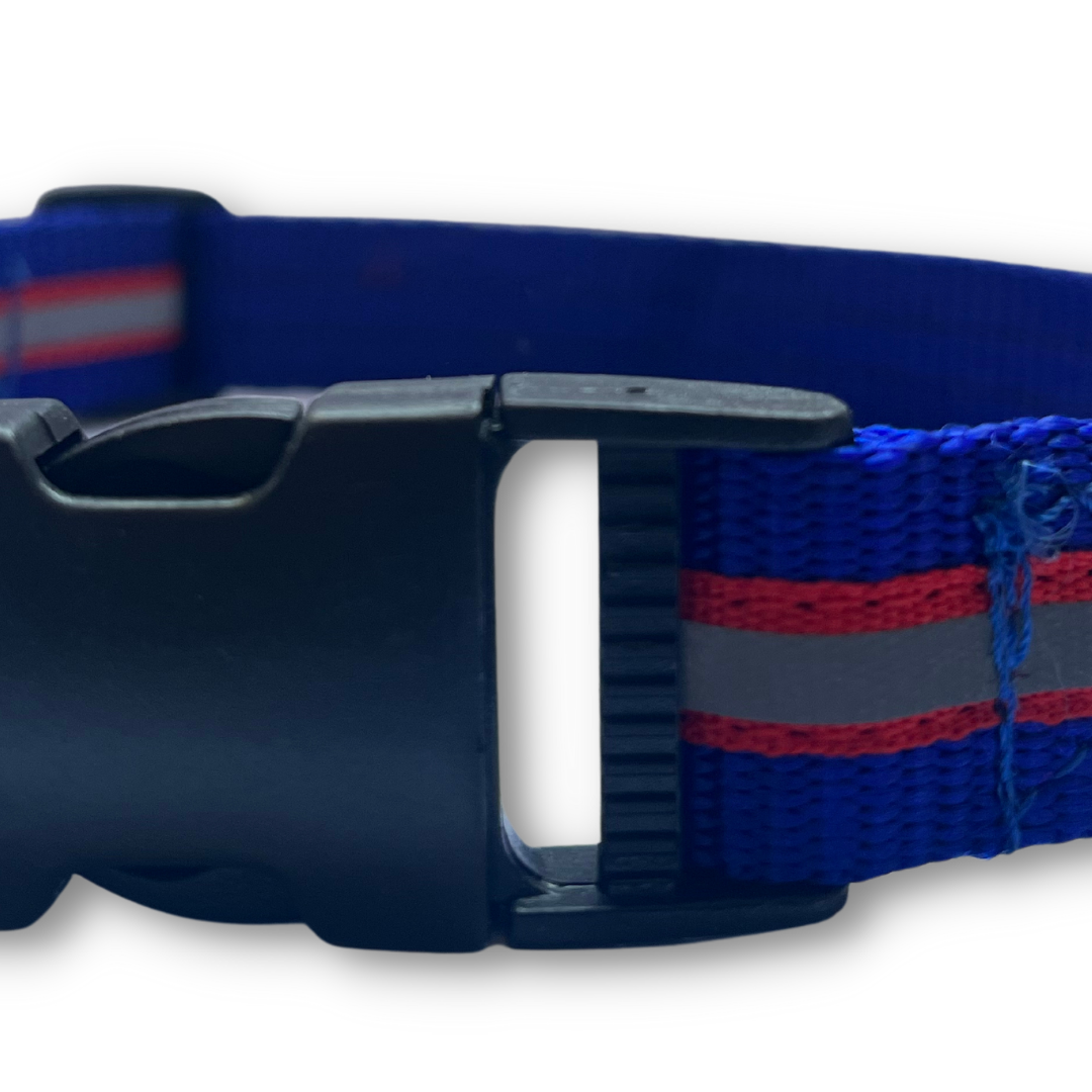 Blue Reflective Collar