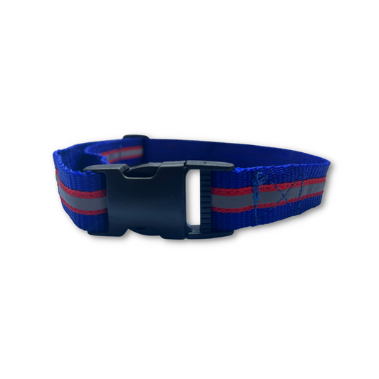 Blue Reflective Collar