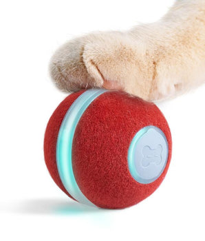 Cheerble Ball for Cats Red
