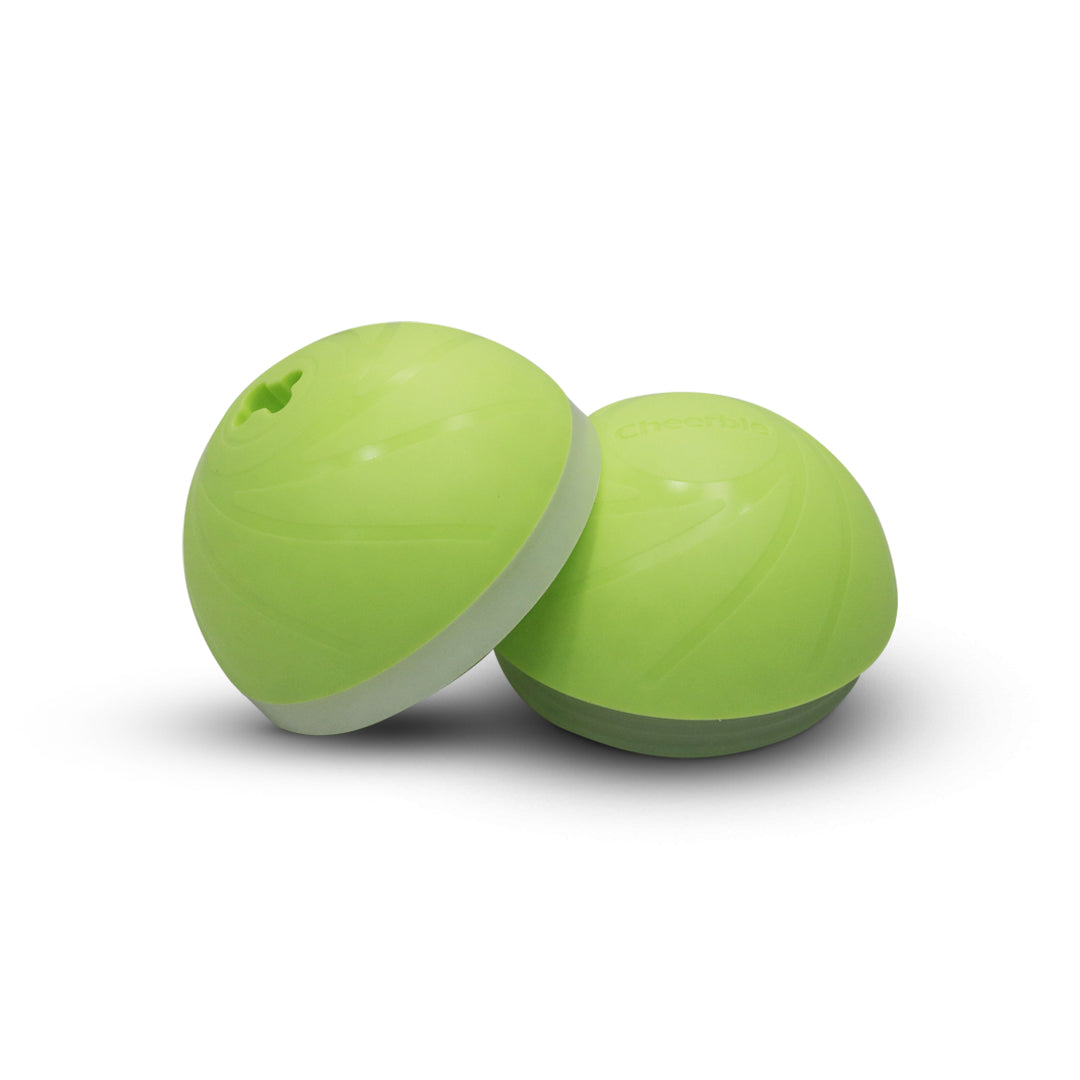 Wicked Ball Cover