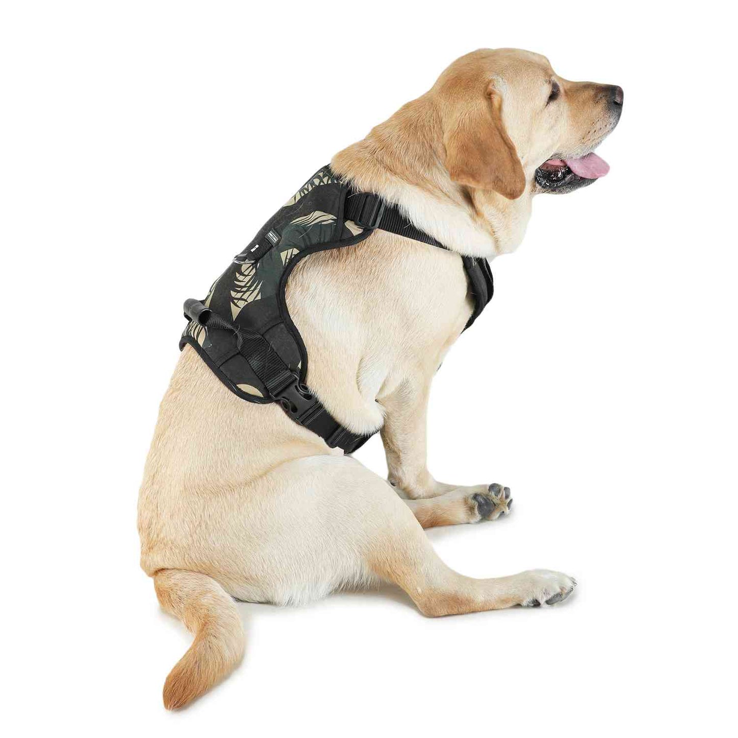Harness For Dogs