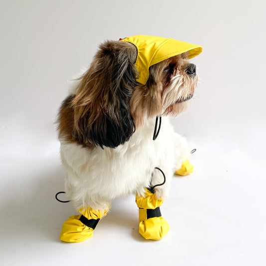 Waterproof Dog Cap: Yellow