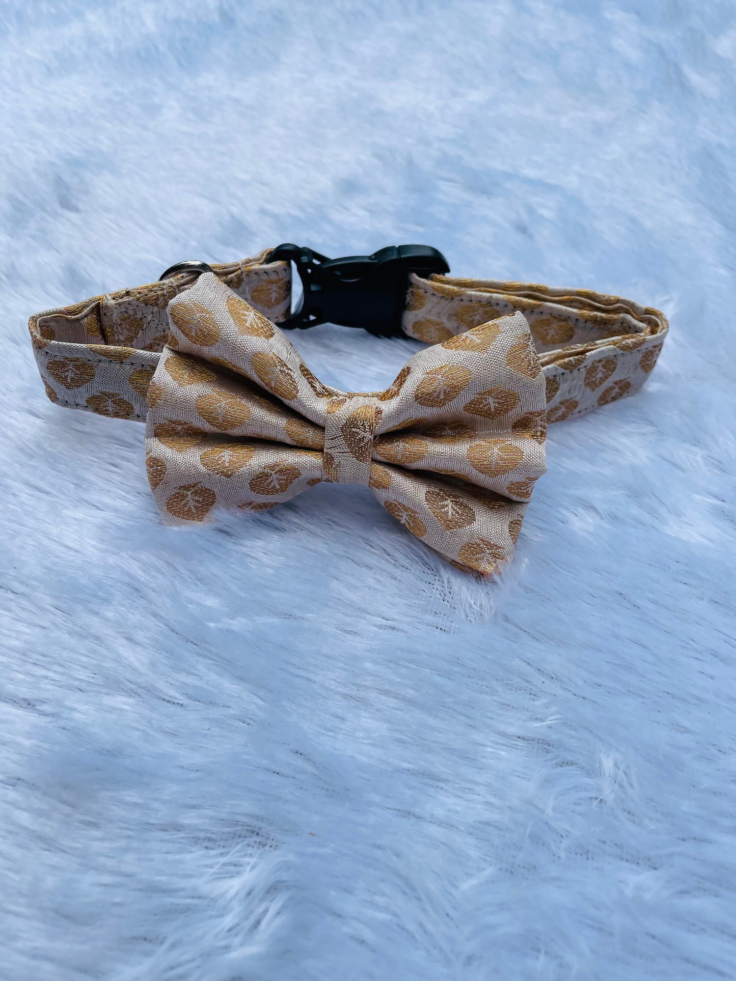 Occasion wear Bow Collar: White