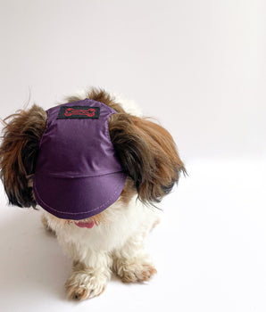 Waterproof Dog Cap: Purple