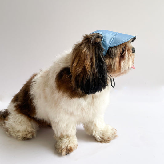 Waterproof Dog Cap: Blue