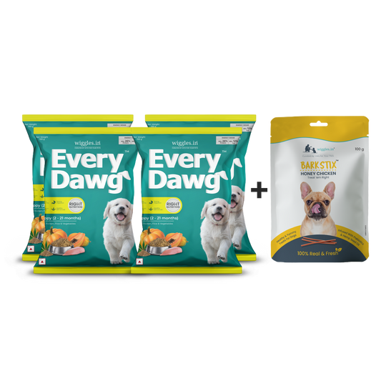 EveryDawg™ Trial Combo for Puppies - (Pack of 4 * 100 g + Barkstix Honey Chicken 100 g)
