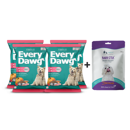 EveryDawg™ Trial Combo for Mothers & Pups - (Pack of 4 * 100 g + Barkstix Berry Blast 100 g)