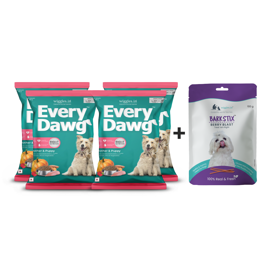 EveryDawg™ Trial Combo for Mothers & Pups - (Pack of 4 * 100 g + Barkstix Berry Blast 100 g)