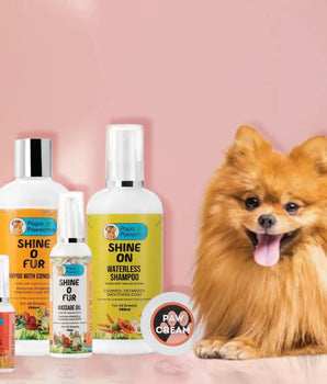 Pomeranian Complete Grooming kit - Papa Pawsome