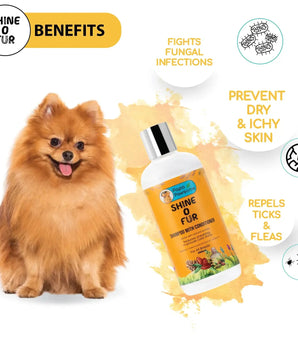 Pomeranian Complete Grooming kit - Papa Pawsome