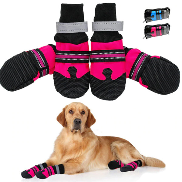 dog shoes
