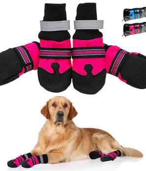 dog shoes