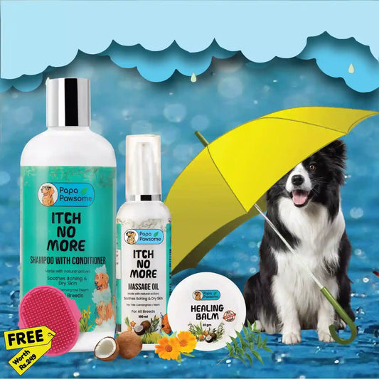 Monsoon Care Kit Pro + Free Palm Brush