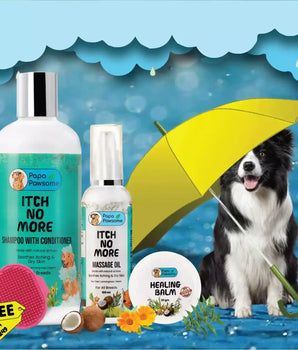 Monsoon Care Kit Pro + Free Palm Brush