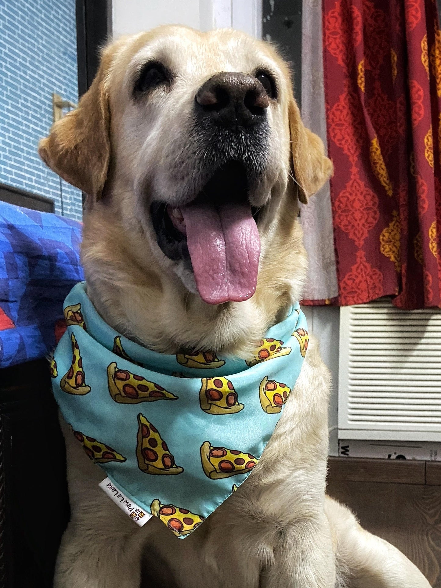 Pizza Party Bandana