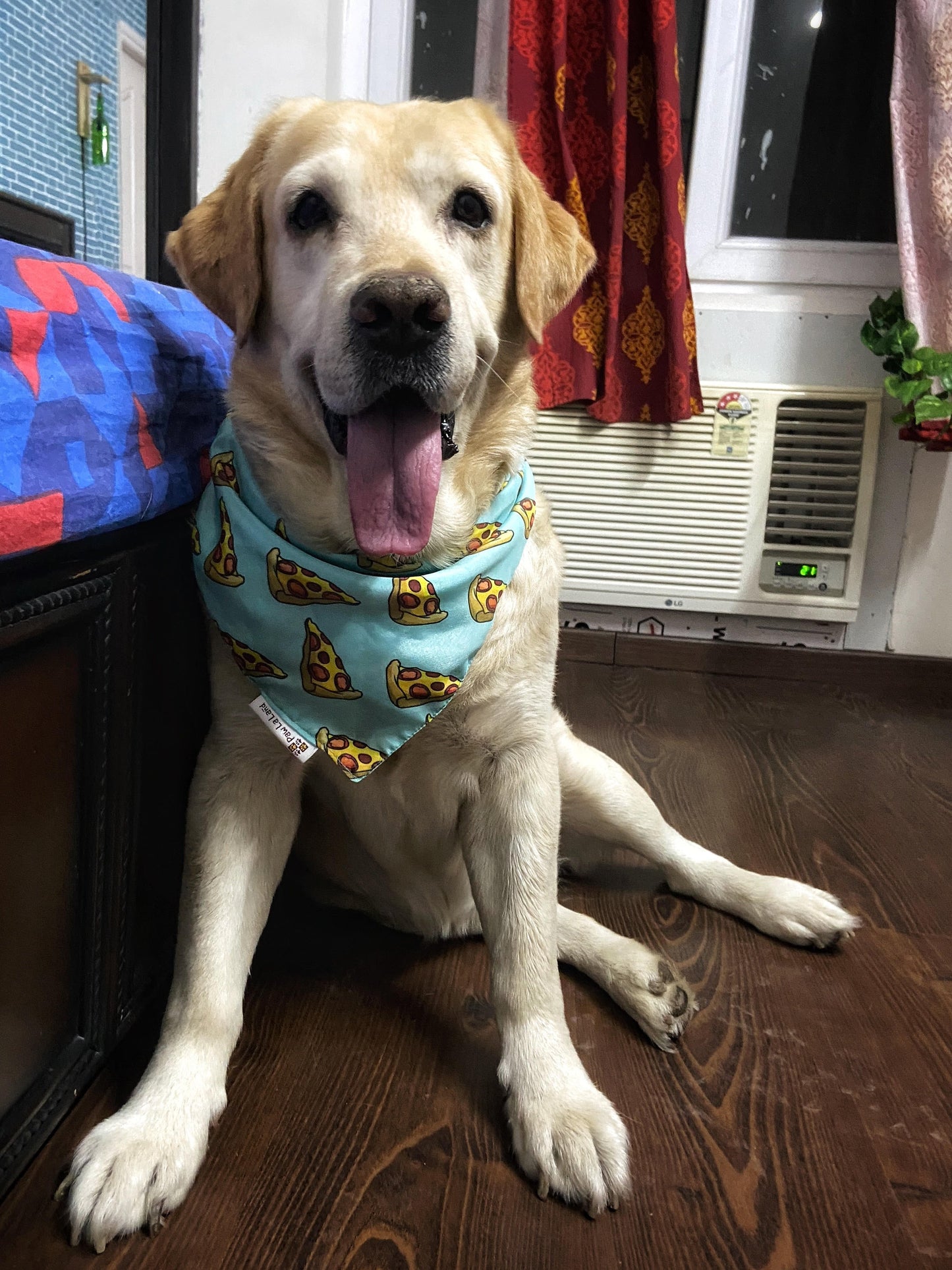 Pizza Party Bandana