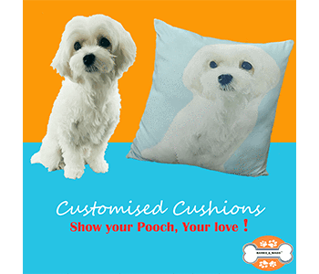 Velvet Personalised Cushion